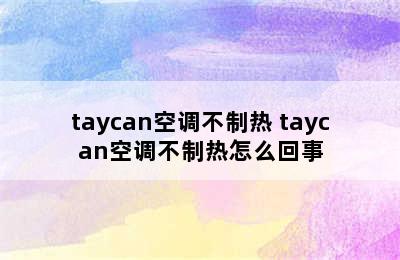 taycan空调不制热 taycan空调不制热怎么回事